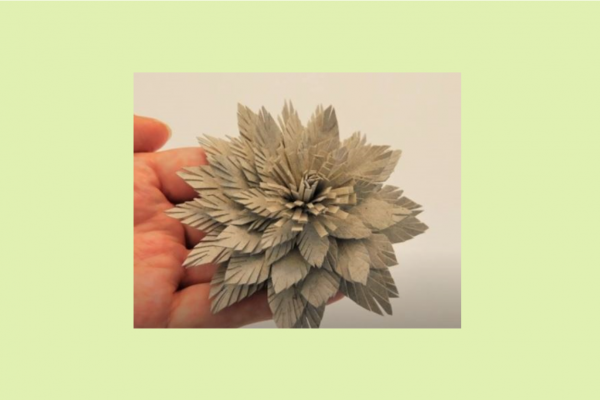 Image for event: PAPER FLOWERS (In-Person)